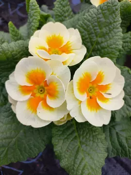 This is a test title